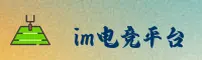 im电竞(IM)官方网站 - 专业赛事平台